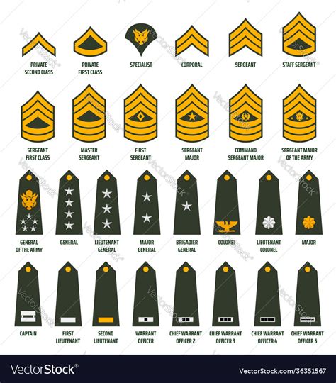 Enlisted Army Ranks Army Enlisted Rank Insignia Stock Vector All In The Best Porn Website