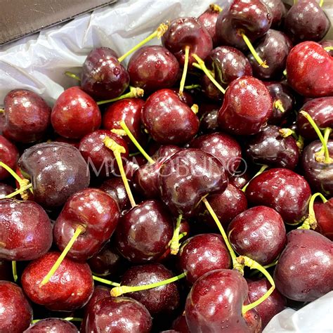 Australian Late Garnet Red Cherry 2kg Box — Momobud