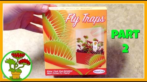 Maybe you would like to learn more about one of these? Venus Fly Traps:Part 2 - YouTube