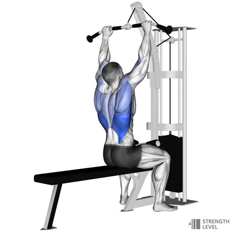 Lat Pulldown Standards For Men And Women Lb Strength Level