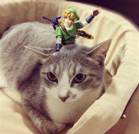 Top 10 Fantasy Images Of Legend Of Zelda Cats