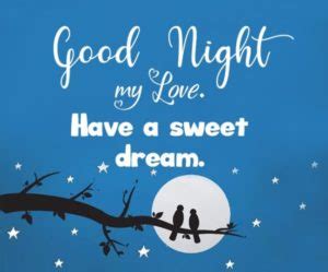 Good Night Messages For Boyfriend Romantic Text For Him Wishes