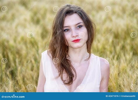 Woman Posing In Wheat Field Stock Photo Image Of Hair Cute 42471076