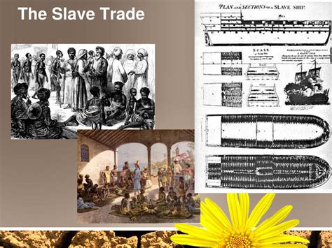 PPT - Early History of Sub-Saharan Africa PowerPoint ...