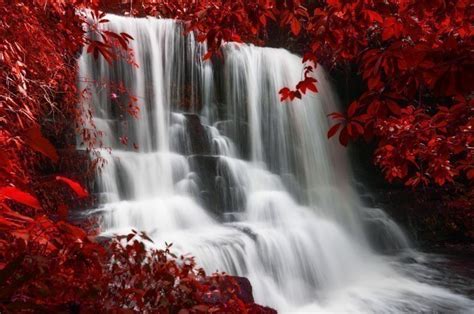 Red Waterfall Canvas Prints Wonder Wall