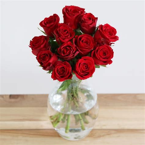 A Dozen Valentines Red Roses A Classic Bunch Of 12 Red Roses Take