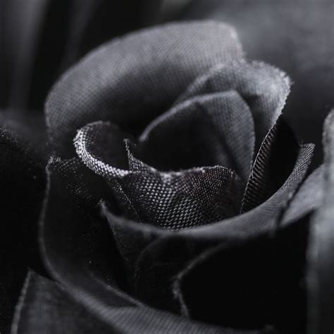 Nature has not yet given us a natural black rose and will have its reasons, and so far what is known as black rose is a variety with very dark petals, perhaps a violet and red color resembling black. Artificial Black Roses - Bushes + Bouquets - Floral ...