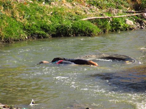 Encuentran Cuerpo Flotando Sobre El Río Sacramento Noticias De