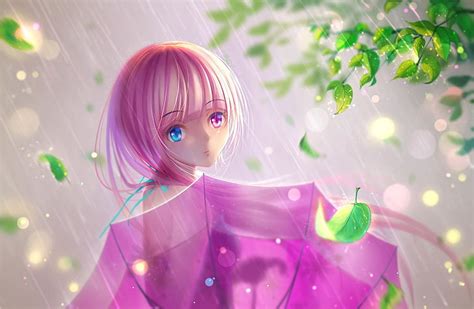 Anime Girl Raining Umbrella Leaves Water Drops Anime Hd Wallpaper