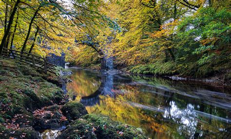 Photos England Dartmoor Autumn Nature Parks Moss River
