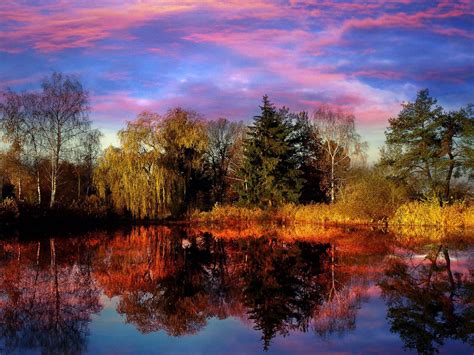 Sunset Lake Trees Landscape Reflection Images Hd Desktop