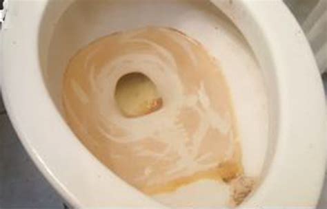 Brown Water In Toilet Vinegar Based Methods To Get Rust Rings And Hard