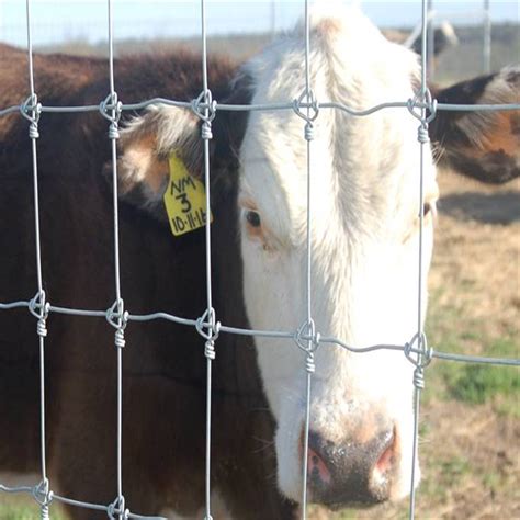 High Tensile Heavy Zinc Coating Galvanized Iron Wire Field Ranch Farm Fence For Sale Steel