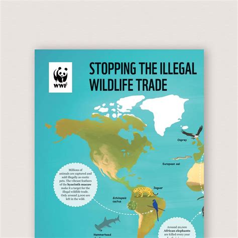 illegal wildlife trade classroom resources wwf