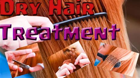 Dry Hair Treatment How To Turn Dry Hair To Healthy Hair Youtube