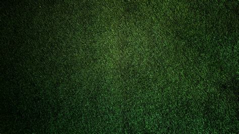 Free Stock Photo Of Dark Green Grass Grass Wall