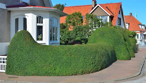 Please inform enjoy in garden in advance of your expected arrival time. The Things I Enjoy: A beautiful private garden in Sweden