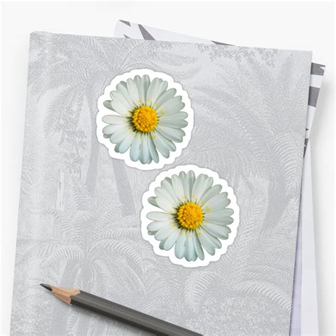 Two White Daisies Sticker By Ghjura Redbubble