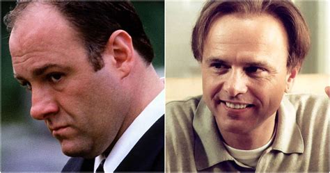 The Sopranos Most Likable Characters Fans Can T Stand