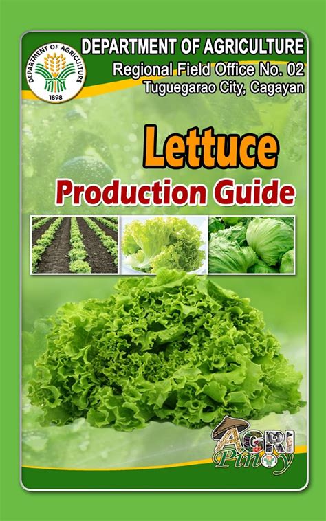 Lettuce Production Guide Myriadfarms1 Lettuce