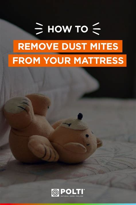 Dust mites are the leading cause of allergic reactions. How to remove dust mites from your mattress: the perfect ...