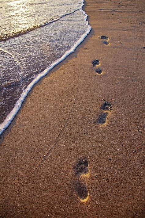 Hd Wallpaper Footprints In Sand Near Seawave Beach Brown Foots