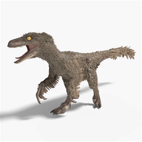 Velociraptor Rigged Feathered Modelo 3d 209 Dae Fbx Obj Blend Free3d