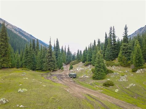 Premium Photo Mountain River And Fir Trees