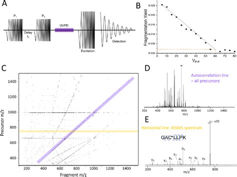 Uvpd 2dms Of Bsa Digest A Schematic Of The Pulse−delay−pulse