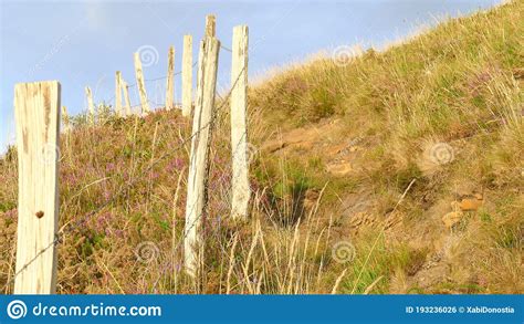 Path With A Natural Arc Passage In The Mountains Of Bulgaria Royalty