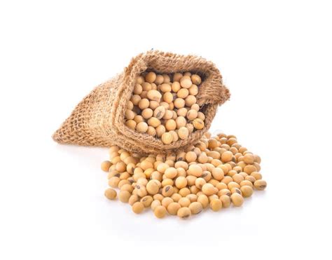 Soya Bean On White Background Stock Photo Image Of Fiber Agriculture