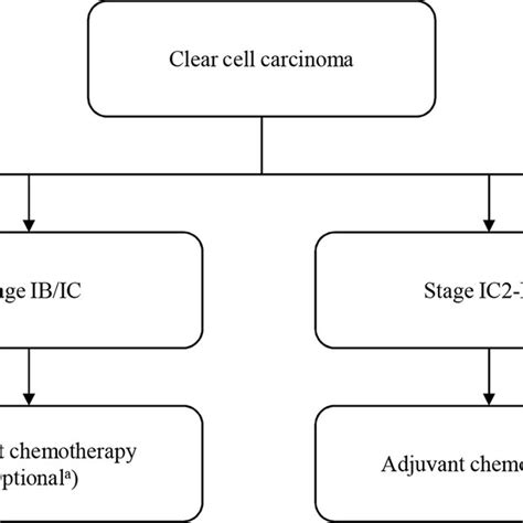 Adjuvant Chemotherapy For Patients With Early Stage Clear Cell Ovarian
