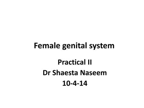 Ppt Female Genital System Powerpoint Presentation Free Download Id