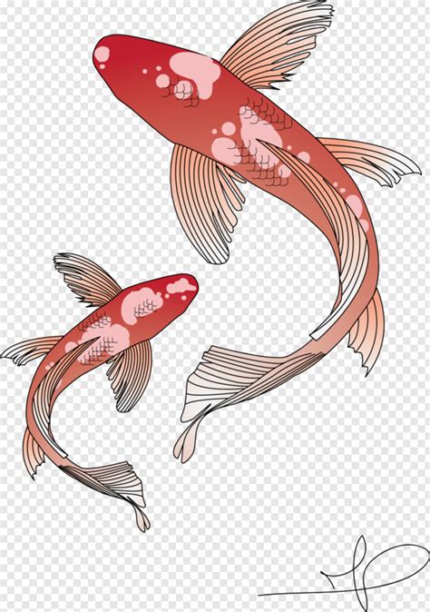 Koi Fish Vector Koi Fish Vector Png Transparent Png X The Best Porn