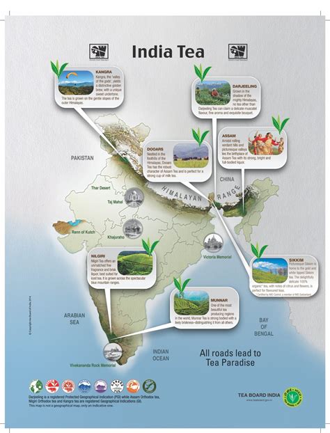 7 Indian Tea Regions You Should Know Tea For Me Please