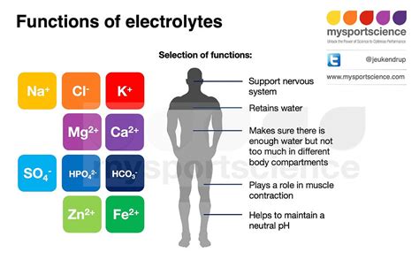 Electrolytes Under Investigation