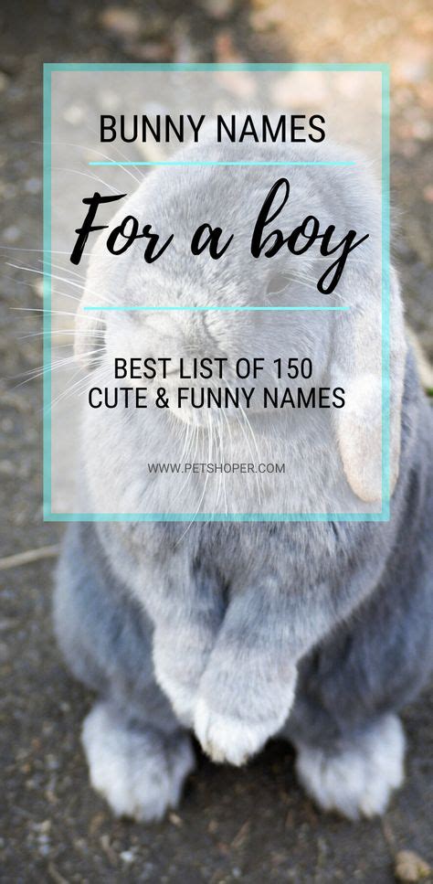 16 Bunny Names Ideas Bunny Names Bunny Funny Names