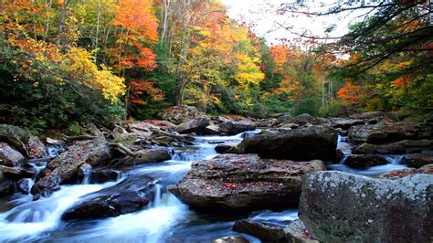 Natural Autumn Mountain River Rock Noise Yellow And Red Leaves Rivers