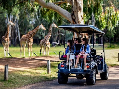 Taronga Western Plains Zoo Dubbo Nsw Holidays And Accommodation