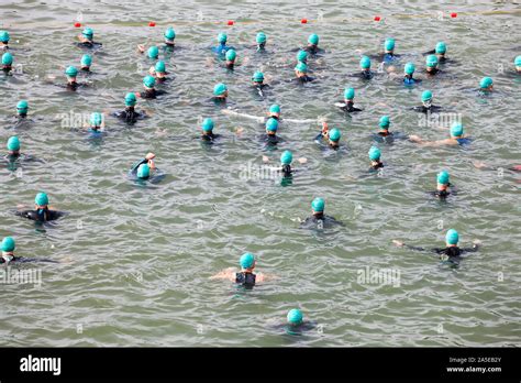 Large Group Of Swimmers Competition Stock Photo Alamy