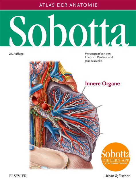 Menschliche figuren mit inneren organen. Sobotta, Atlas der Anatomie Band 2 - 9783437440229 ...