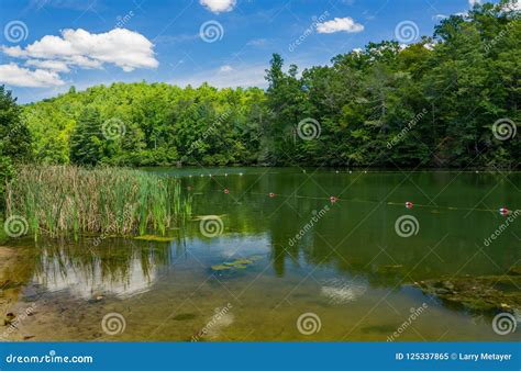 Swimming Area At Cave Mountain Lake Editorial Image Image Of America