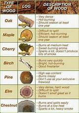 Types Of Wood Good For Firewood