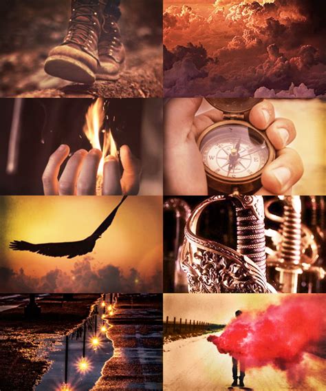 gryffindor and thunderbird {gryffinbird} aesthetic harry potter aesthetic gryffindor