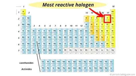 Where Are The Halogens Located On The Periodic Table