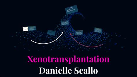 Xenotransplantation By Danielle Scallo