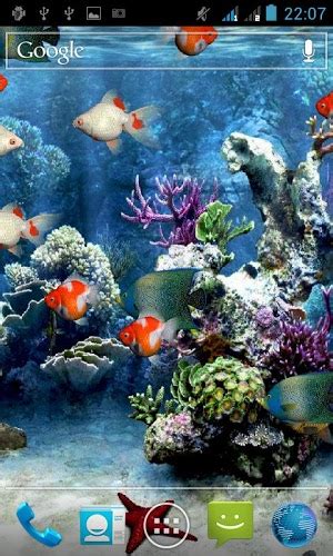 49 Aquarium Live Wallpaper Windows 10 On Wallpapersafari