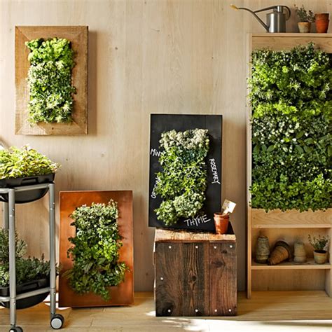 8 Easy Ways To Create A Vertical Garden Wall Inside Your Home