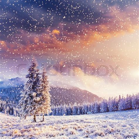 Magical Winter Landscape Background Stock Image Colourbox