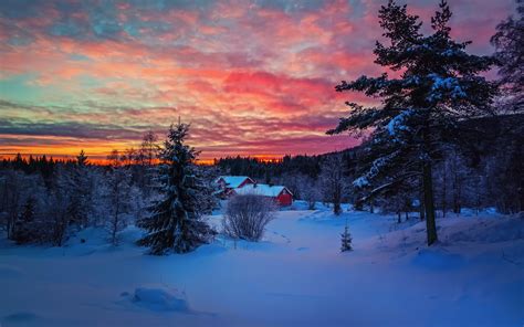 Wallpaper Winter Evening Sunset Sky Clouds Snow Forest